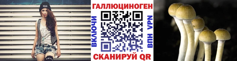 Псилоцибиновые грибы мухоморы  Купить закладки  Яхрома 